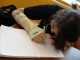 writing with cast